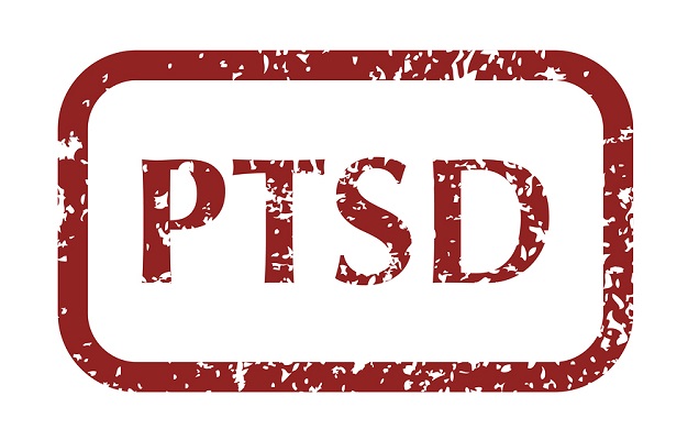 اختلال استرس پس از سانحه(PTSD)